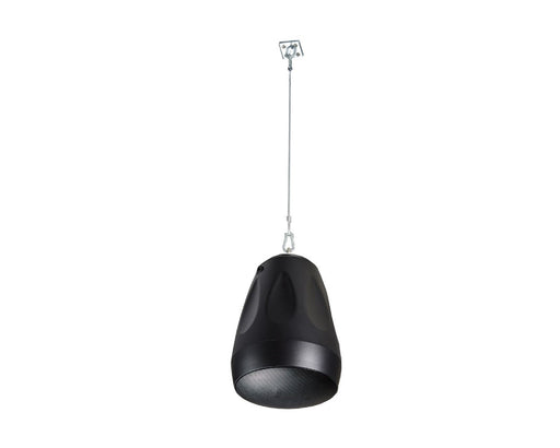 Cloud Contractor CVS-P42TB 4.25" Two-Way Pendant Speaker in Black
